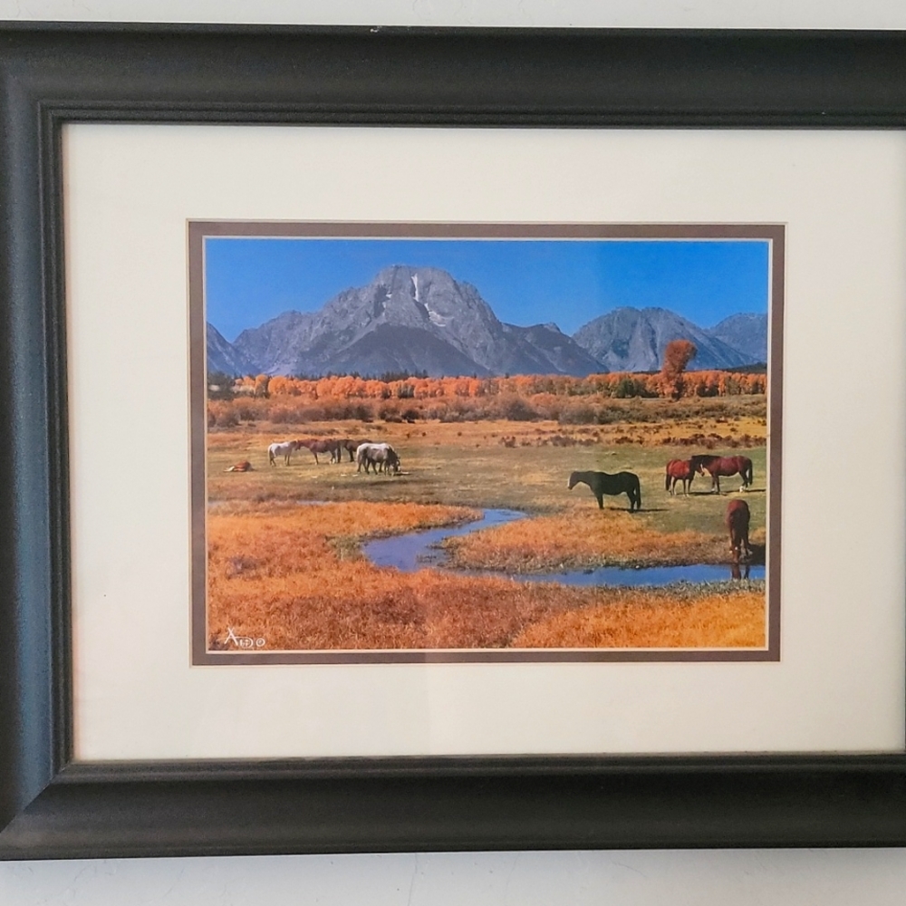 Abi Garaman Horse & Mountains Framed Picture